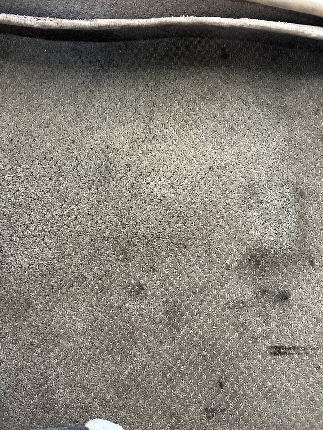 Aircraft interior carpet before cleaning, stained and soiled